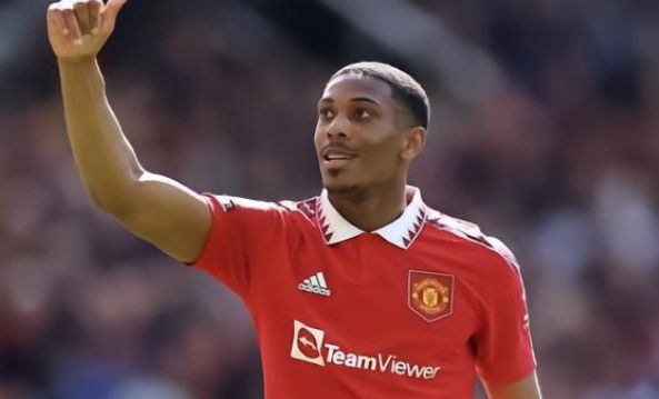 高产量品种 高产量品种